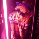 Eline de Jonge Eline de Jonge